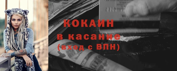 молекула духа Новозыбков