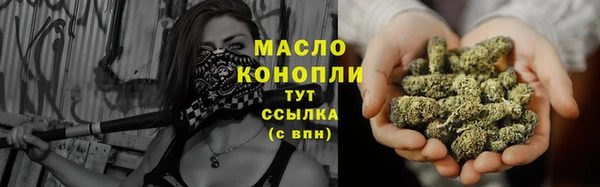 молекула духа Новозыбков
