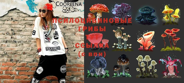 герыч Новокубанск