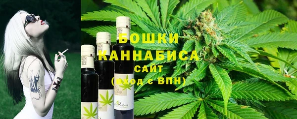 молекула духа Новозыбков