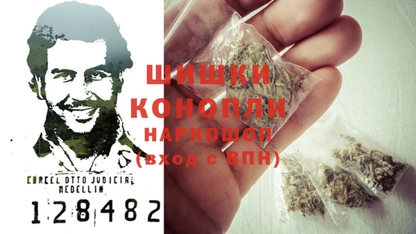 молекула духа Новозыбков