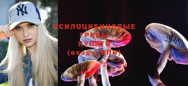 молекула духа Новозыбков