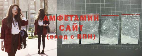 молекула духа Новозыбков