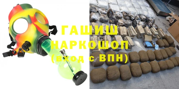 молекула духа Новозыбков