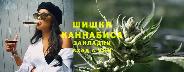 молекула духа Новозыбков