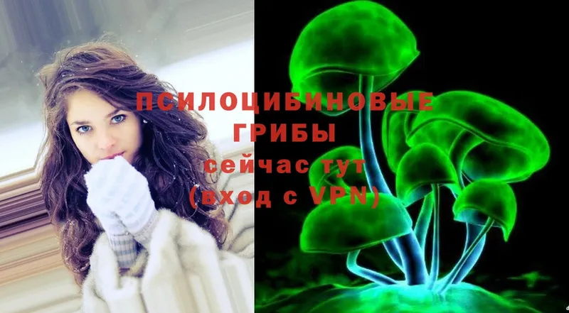 где купить наркоту  Новокубанск  omg маркетплейс  Псилоцибиновые грибы Magic Shrooms 