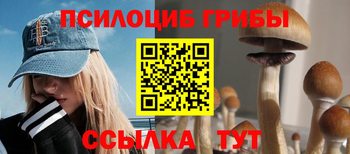 Галлюциногенные грибы ЛСД  Вход с VPN  Новокубанск 
